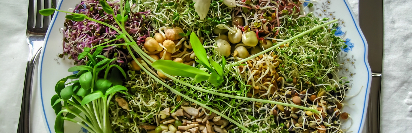 a plate of sprouts and other vegetables