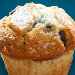 blueberry muffin with a blue background