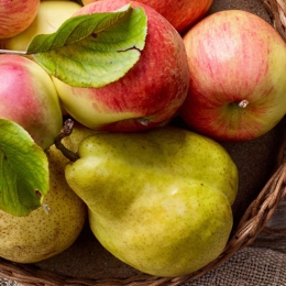 bowl of apples and pears