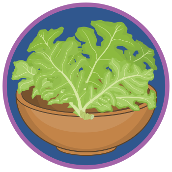 cartoon bowl with salad greens