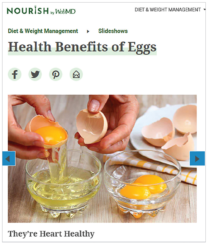 news article about eggs