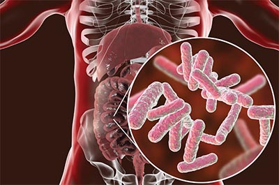 In one study, the gut microbiome took longer to recover from antibiotics when people took a probiotic.