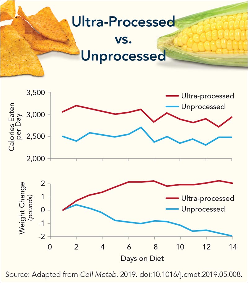 When people ate ultra-processed food, they averaged 500 more calories a day than when they ate unprocessed food.