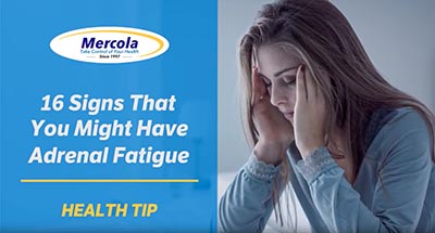 Overworked adrenal glands don’t cause fatigue and exhaustion.