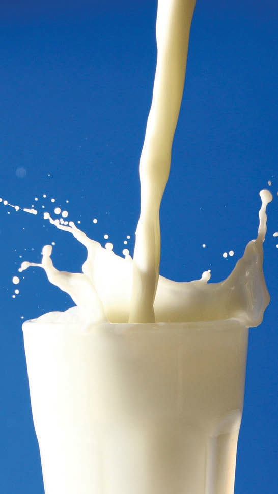 Milk may protect bones.