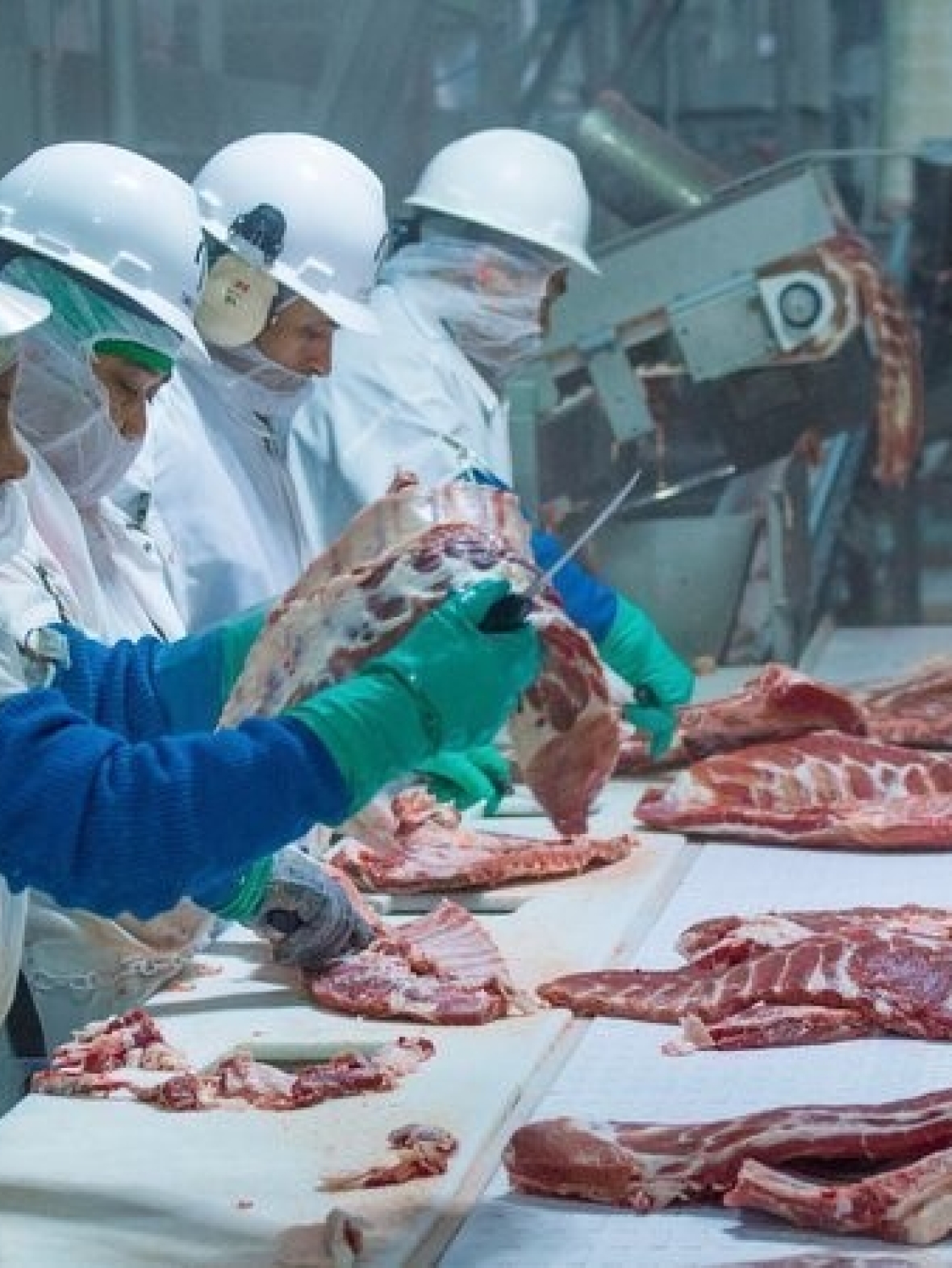 Tell America’s Meat & Poultry Processors: Protect Your Workers!