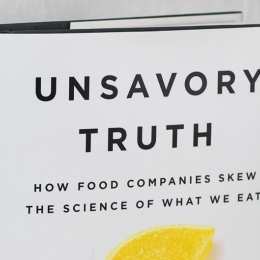 unsavory truth book cover