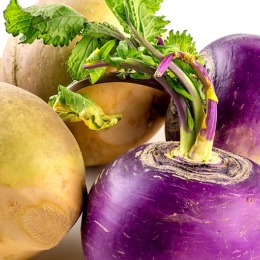 rutabagas and turnips