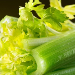 stalks of celery