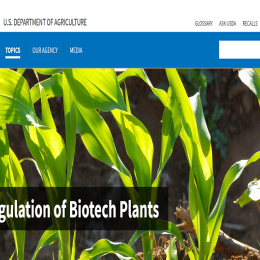 Biotech plants