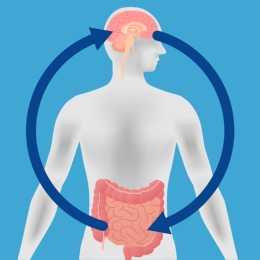 illustration of a human brain and gut