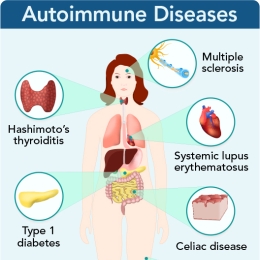 autoimmune diseases diagram