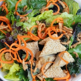 Tofu with Sesame Vinaigrette Salad