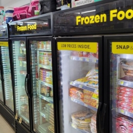 The frozen foods section of a Dollar General store
