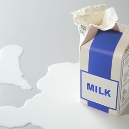 An opened paper milk carton in a pool of spilled milk