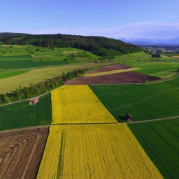 Bird's eye view of farmland
