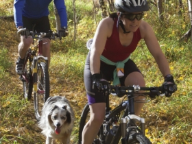 people biking with a dog