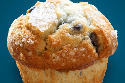 blueberry muffin with a blue background