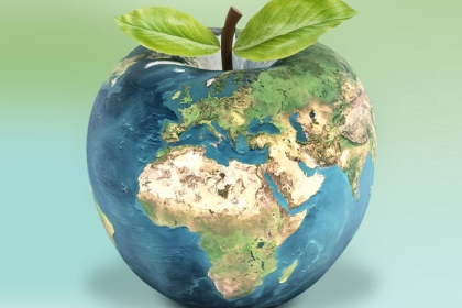 globe shaped like apple