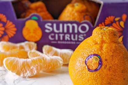 sumo citrus fruit