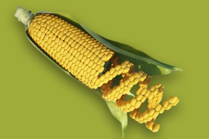 corn with a DNA helix