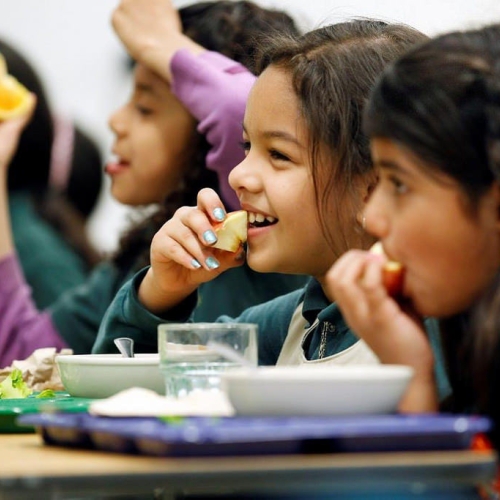 Children eating school lunch healthy