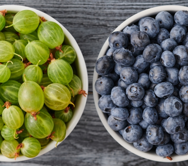 a bowl of gooseberries on the left and bowl of blueberries on the right