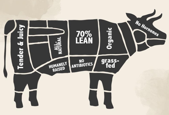 a cow illustration with various meat-claim labels