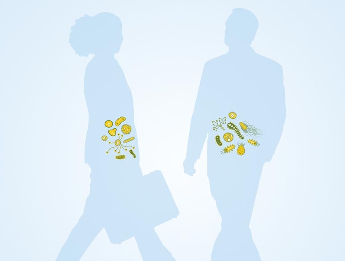 illustration of a man's and a woman's gut microbes