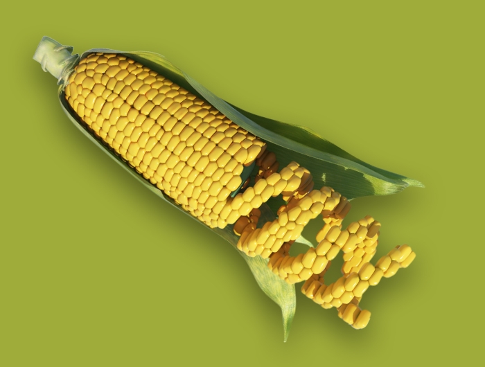 corn with a DNA helix