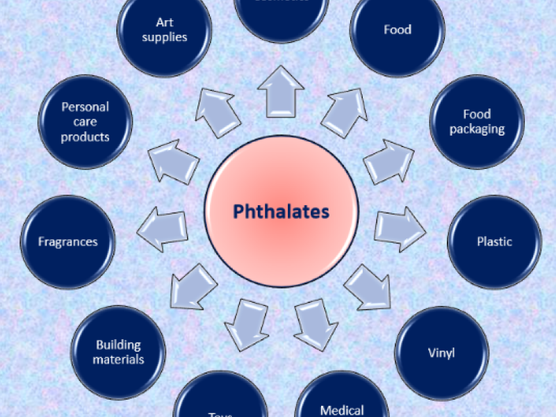 Representation of the many uses of phthalates: cosmetics, food, packaging, and medical devices, among others
