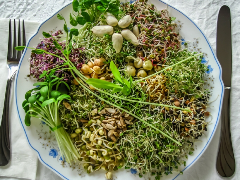 plate with vegetables including sprouts