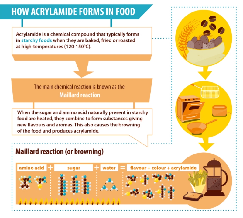 diagram showing how acrylamide forms in food