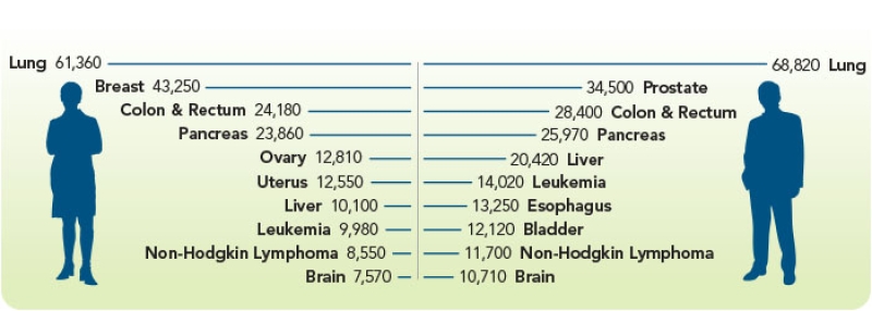 Chart of estimated number of cancer deaths in 2022
