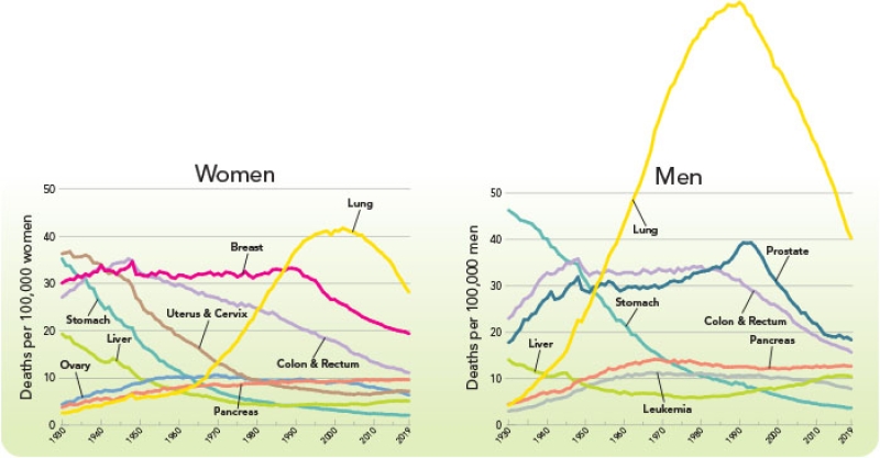 graphs of death rates from most major cancers