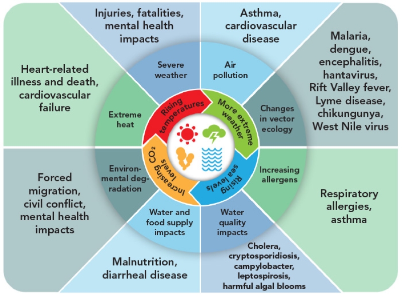 chart showing how climate change affects health