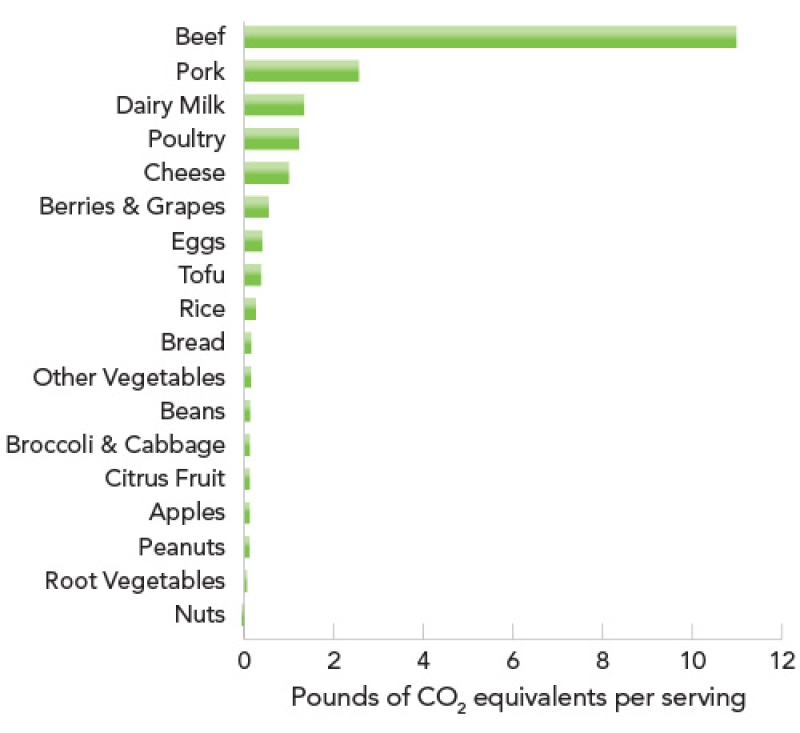 chart of green house gas emissions produced by different foods