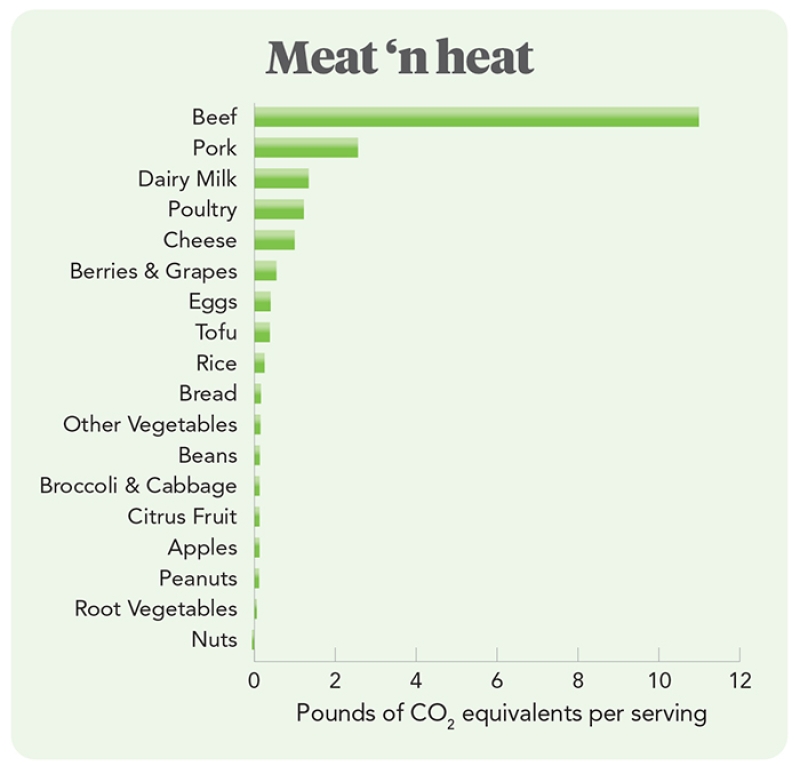 chart of amount of CO2 emissions based on a serving of different foods