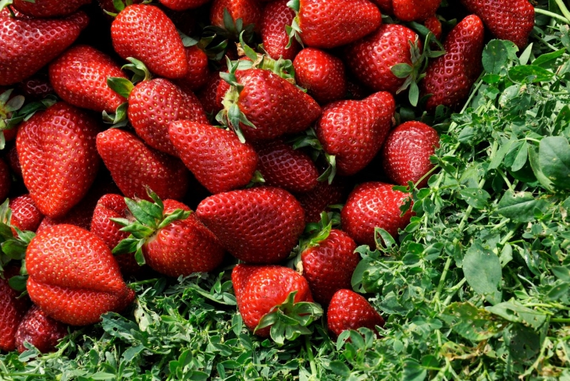 April produce - A pile of strawberries at a market