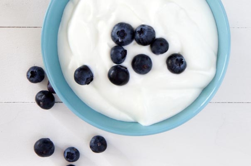 blue bowl filed with plain yogurt and some blueberries