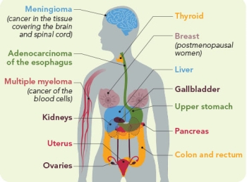 diagram of cancers linked to overweight and obesity