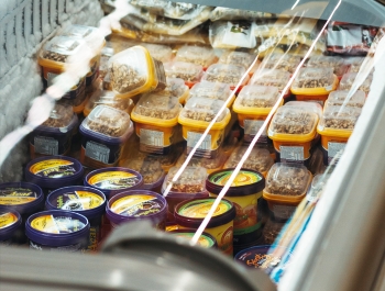 Ice cream novelties in a grocery store freezer case