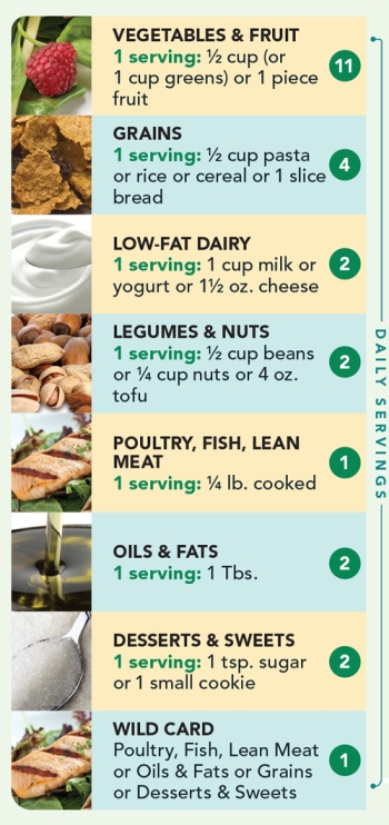 dash diet chart with food examples