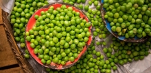 A flat lay of fresh peas in bowls
